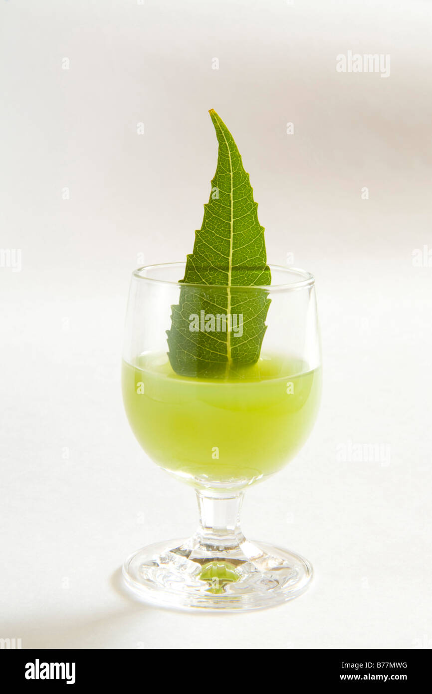 Bere ; Neem o foglia di margosa all'interno del bicchiere di succo di frutta Melia azadirachta medicina meravigliosa Foto Stock