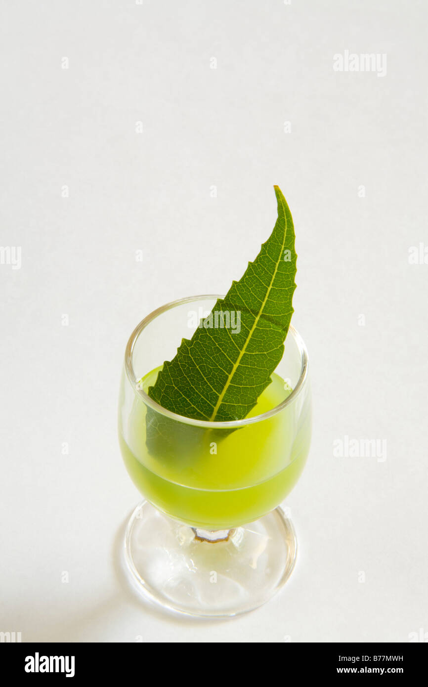 Bere ; Neem o foglia di margosa all'interno del bicchiere di succo di frutta Melia azadirachta medicina meravigliosa Foto Stock