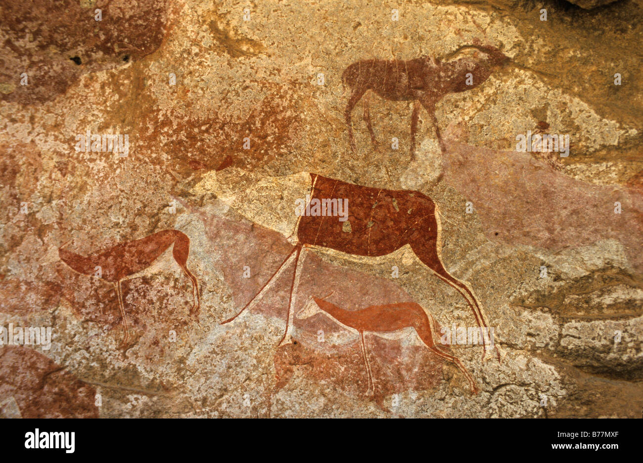 Pitture rupestri nella grotta di serpente, Brandberg, Namibia, Africa Foto Stock