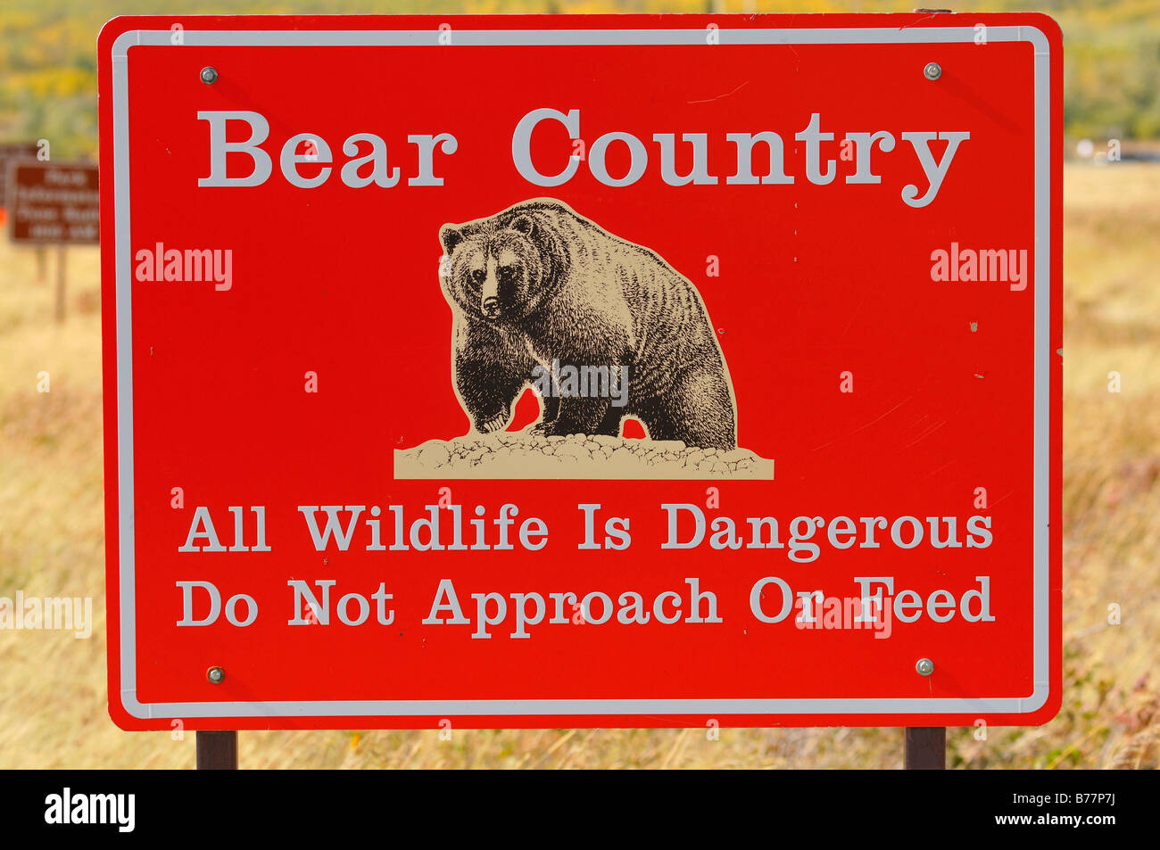 Segnale di avvertimento Bear Paese Foto Stock