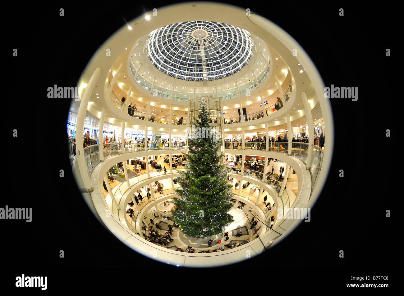 Interior shot, fisheye prospettiva, Breuninger department store, festosa decorazione, Stoccarda, Baden-Wuerttemberg, Germania, UE Foto Stock