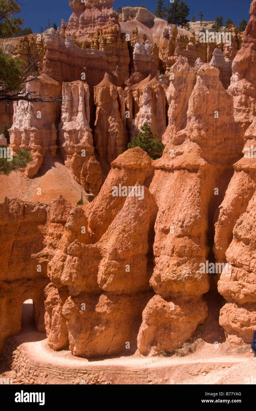 Un tunnel lungo la Queens Garden Trail nel anfiteatro Bryce Bryce Canyon National Park nello Utah Foto Stock