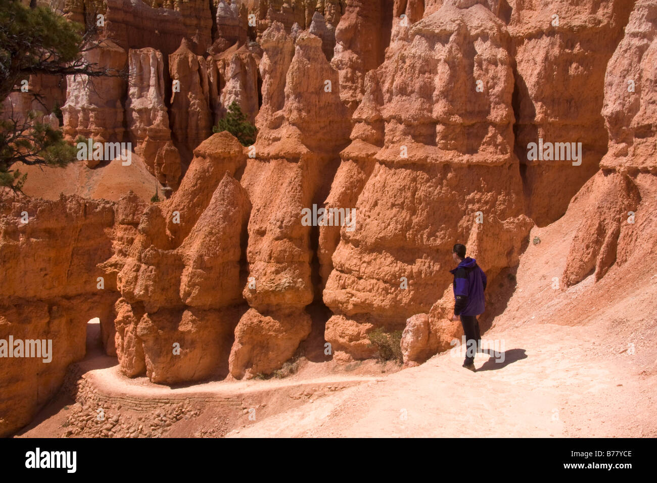Un escursionista gode di viste dal Queens Garden Trail nel anfiteatro Bryce Bryce Canyon National Park nello Utah Foto Stock