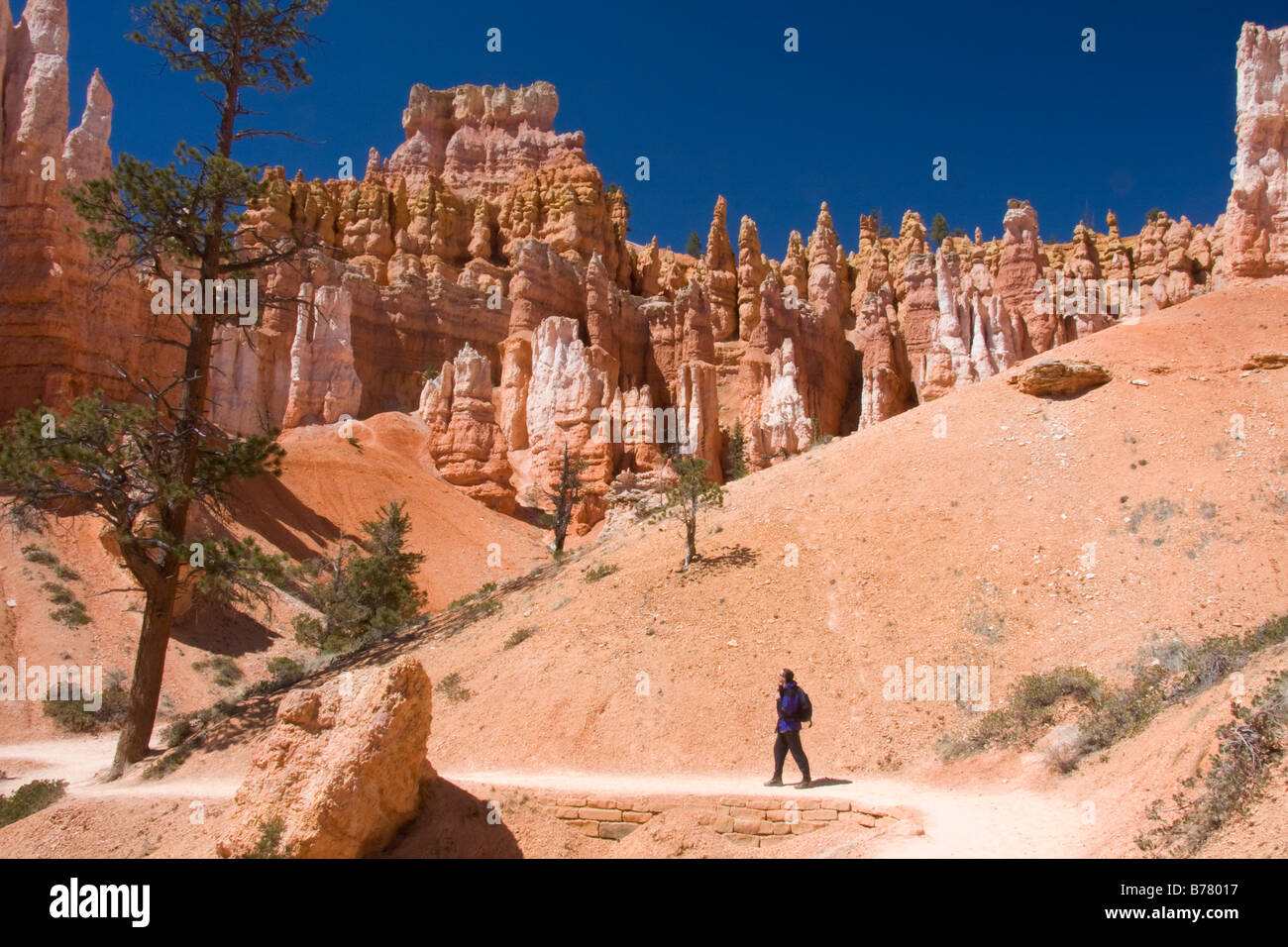 Un escursionista gode di viste dal Queens Garden Trail nel anfiteatro Bryce Bryce Canyon National Park nello Utah Foto Stock