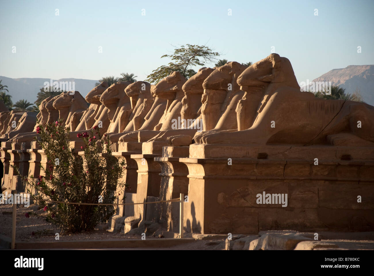 Viale di Sfingi Tempio di Karnak Foto Stock