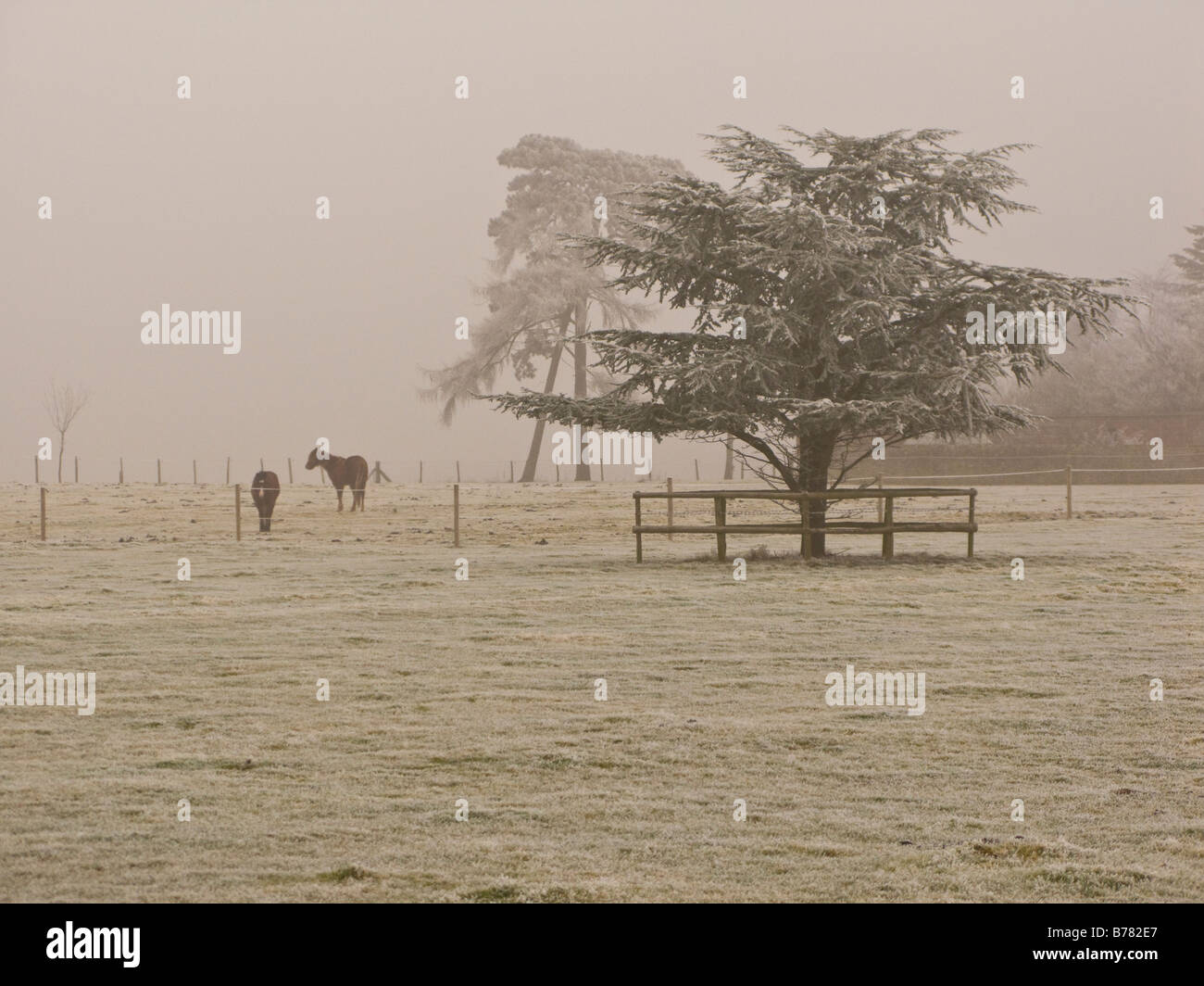 Il congelamento condizioni di nebbia in Oxfordshire, Inghilterra Foto Stock