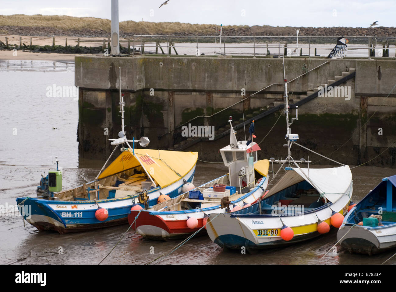 Barche ormeggiate nel porto di camminare, Northumberland Foto Stock