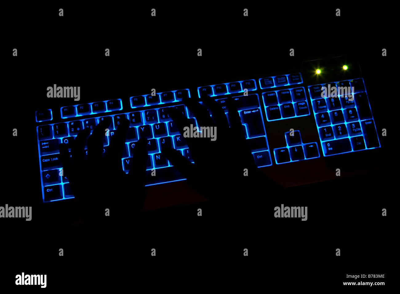 Mani digitando i tasti del computer durante il lavoro Foto Stock