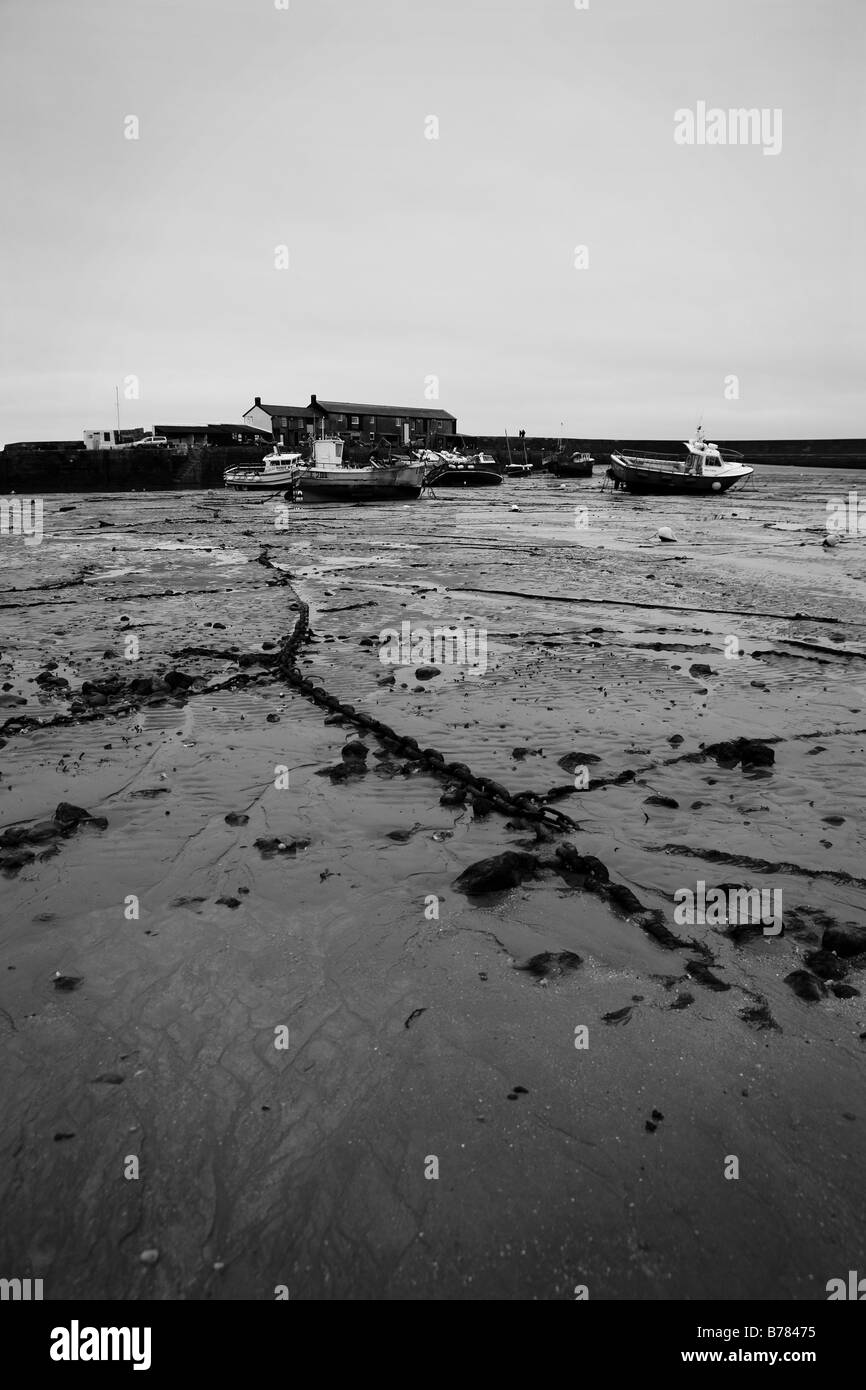 Le catene di ormeggio nel porto di Lyme Foto Stock