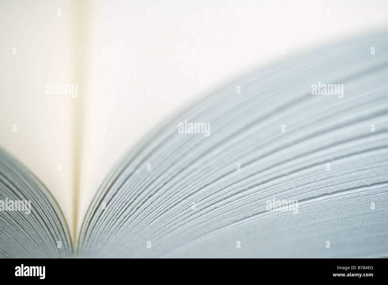 Close up di un libro aperto Foto Stock