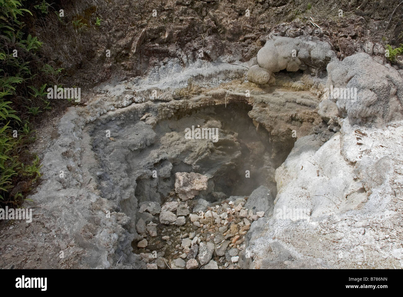 Funzione geotermica a Orakei Korako, la Hidden Valley, vicino a Taupo, Nuova Zelanda Foto Stock