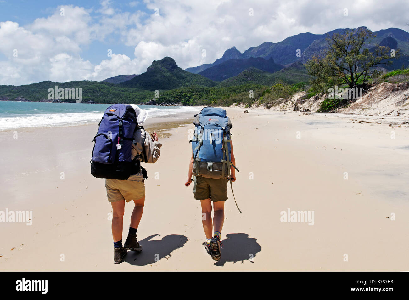 Spiaggia di Hinchinbrook Island, Hinchinbrook Island National Park, Queensland, Australia Foto Stock