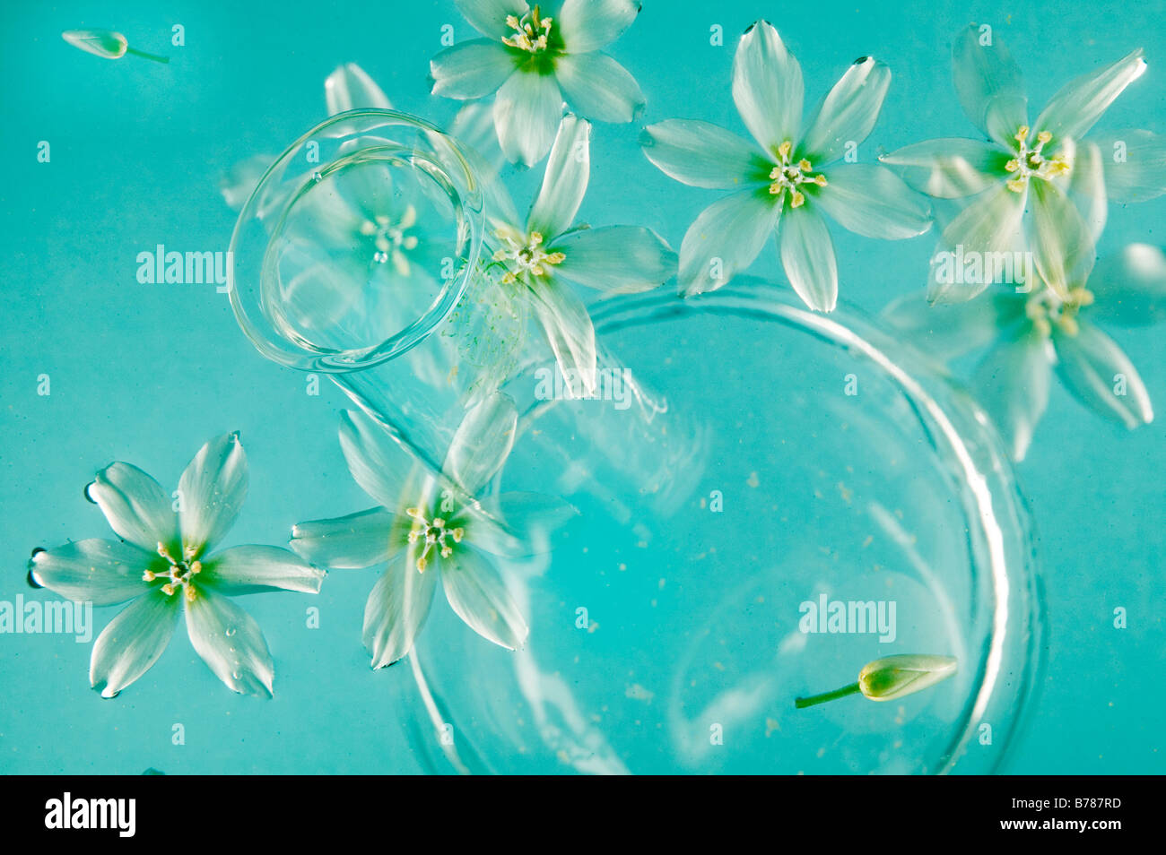 Fiori e pallone di vetro galleggiante in acqua Foto Stock
