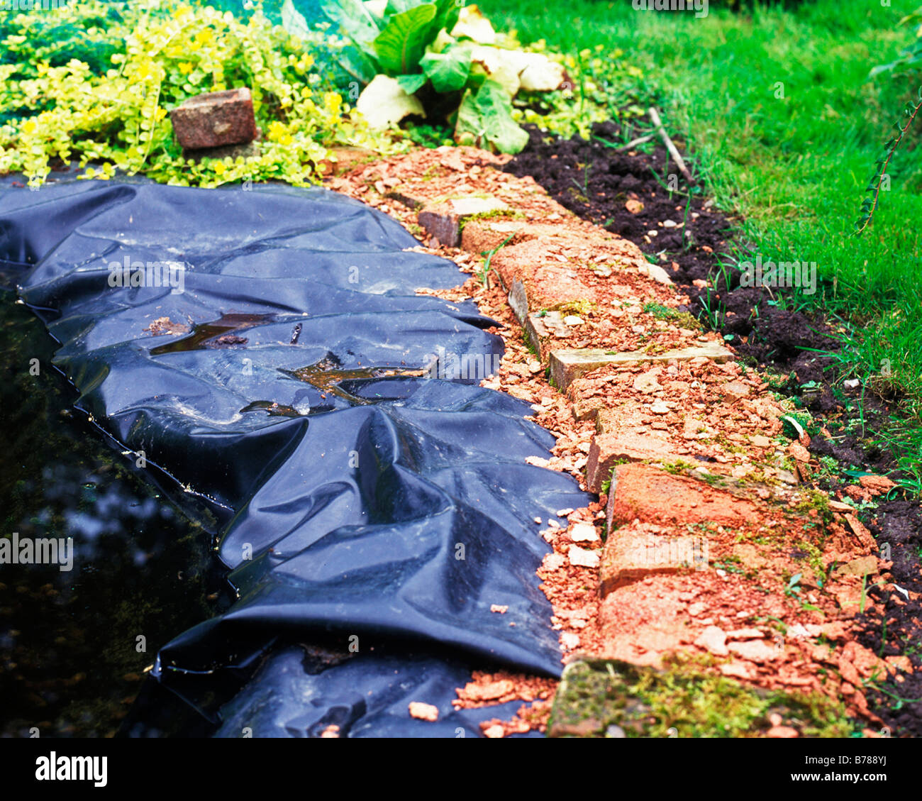 Le canne di stagno a sinistra sopra il livello dell'acqua si deteriorano più rapidamente Foto Stock