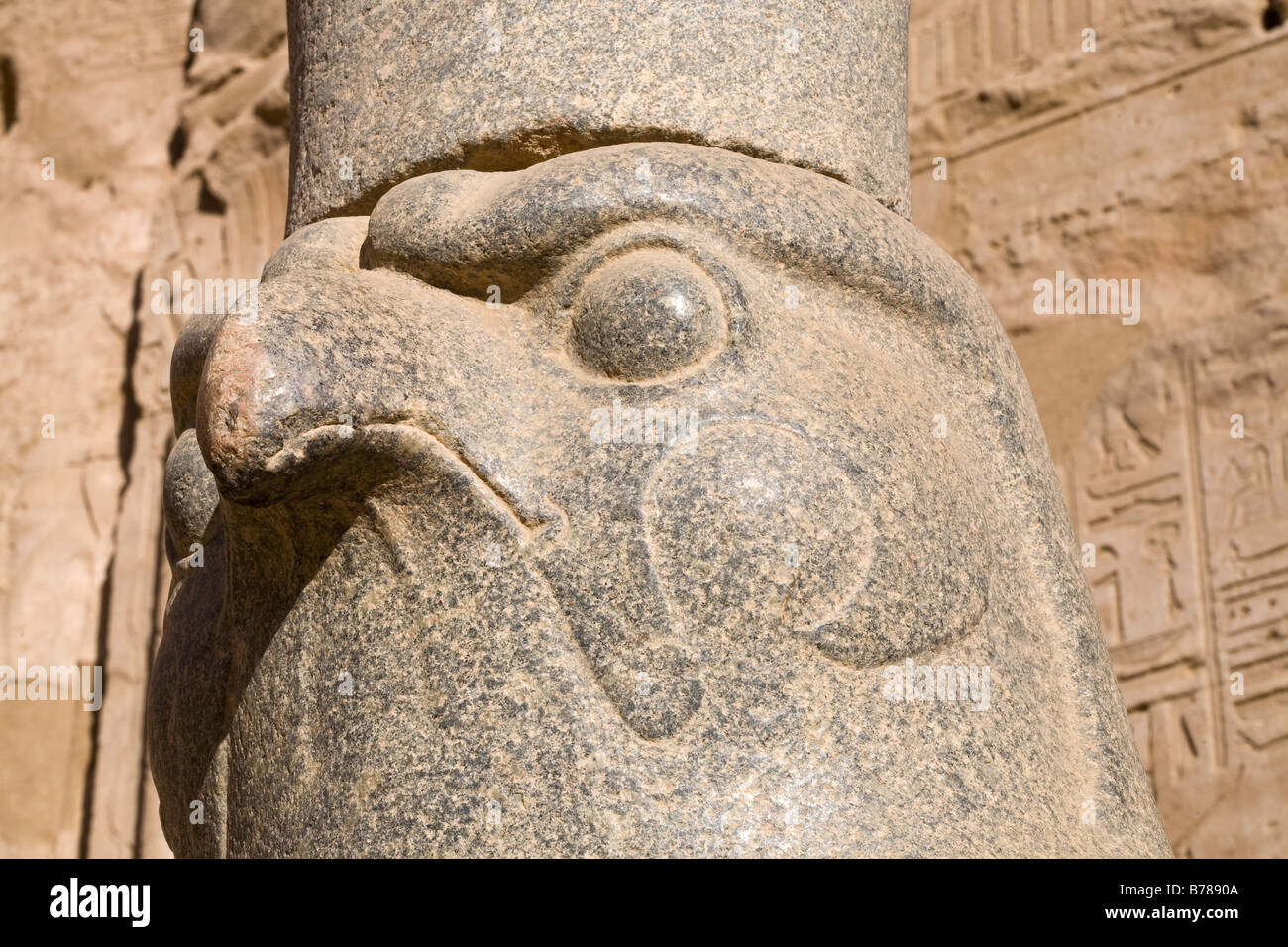 Chiudere fino alla statua di Horus di Behdet nel piazzale antistante all'ingresso del primo Hypostyle Hall, il Tempio di Edfu Egitto Foto Stock