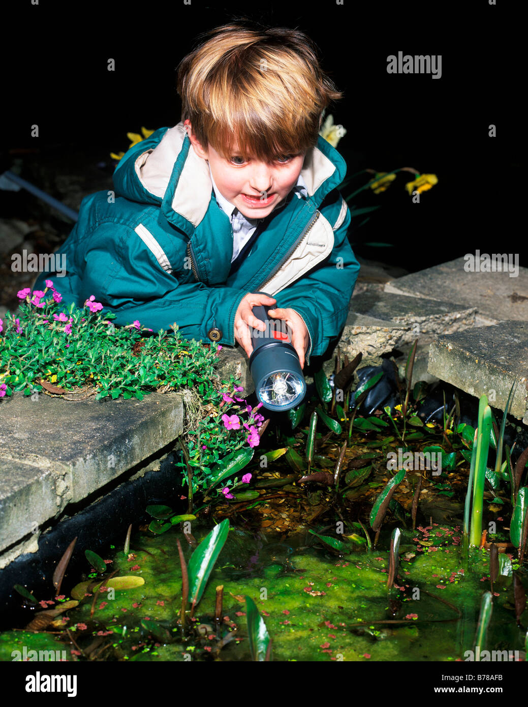 È possibile ottenere vicino al laghetto creature di notte utilizzando una torcia Foto Stock