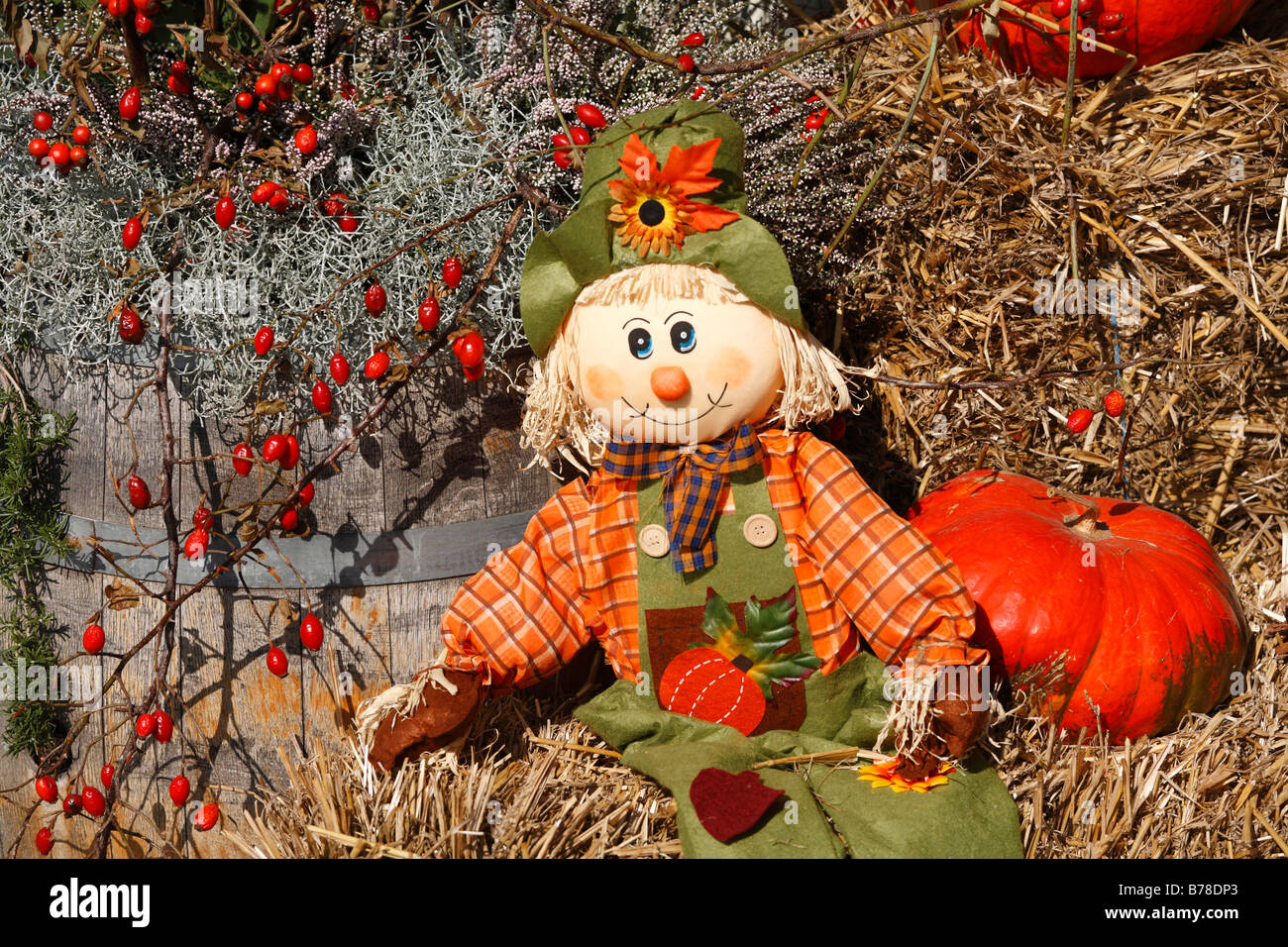 Decorazione di autunno a Grinzing, Vienna, Austria, Europa Foto Stock