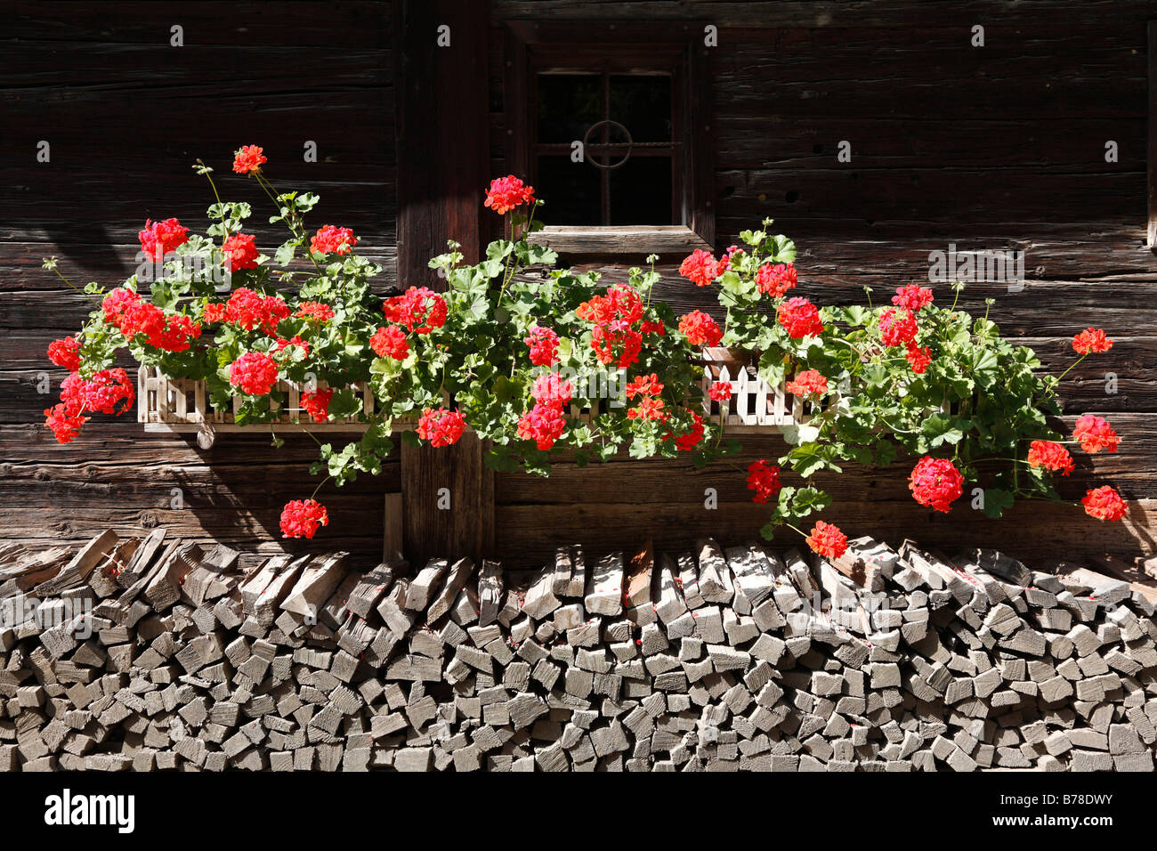 Gerani su una casa in legno, Austrian Open Air Museum Stuebing, Stiria, Austria, Europa Foto Stock