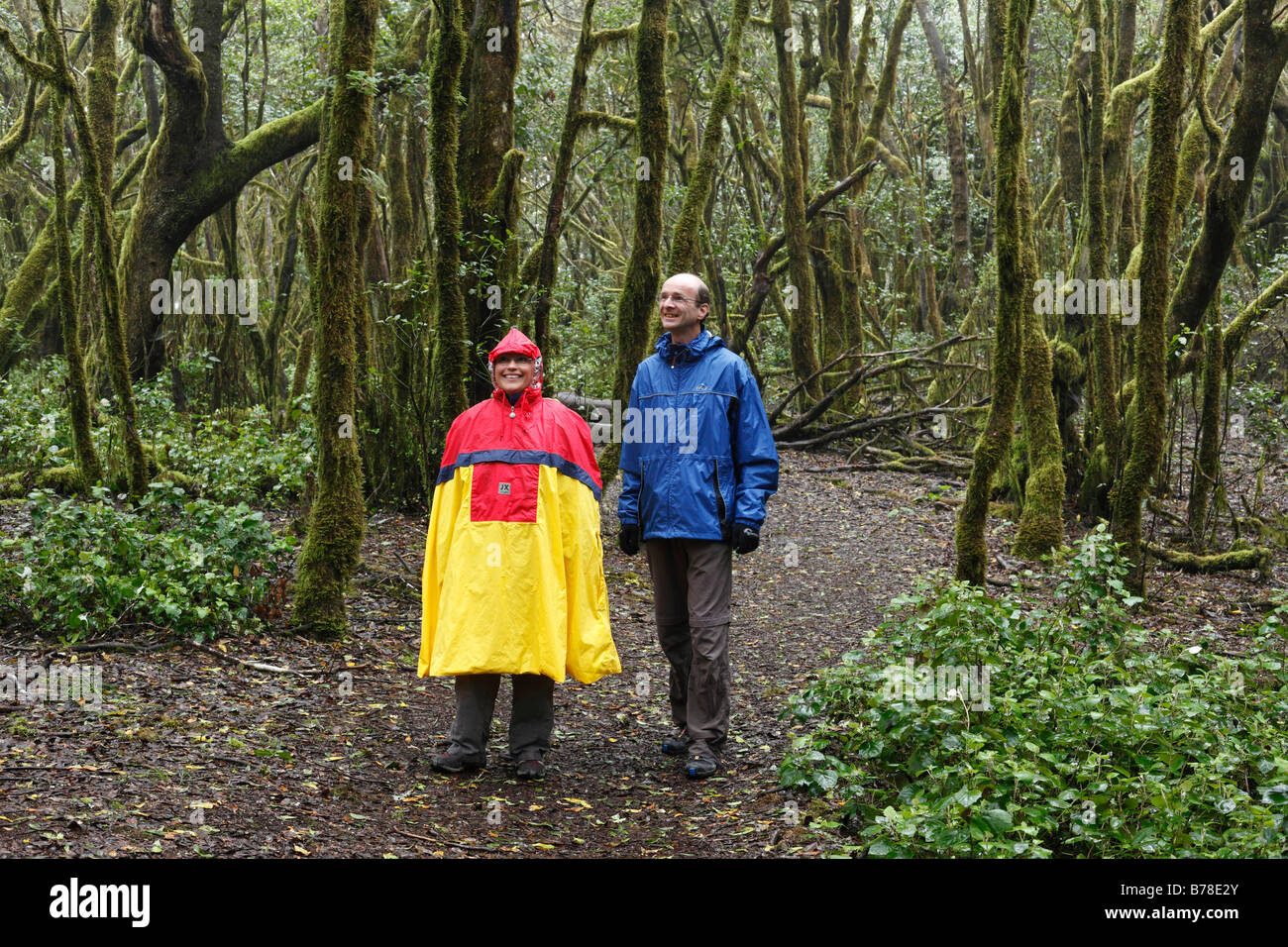Gli escursionisti indossando mantelli di pioggia in una nube foresta, Parco Nazionale di Garajonay, La Gomera, isole Canarie, Spagna, Europa Foto Stock