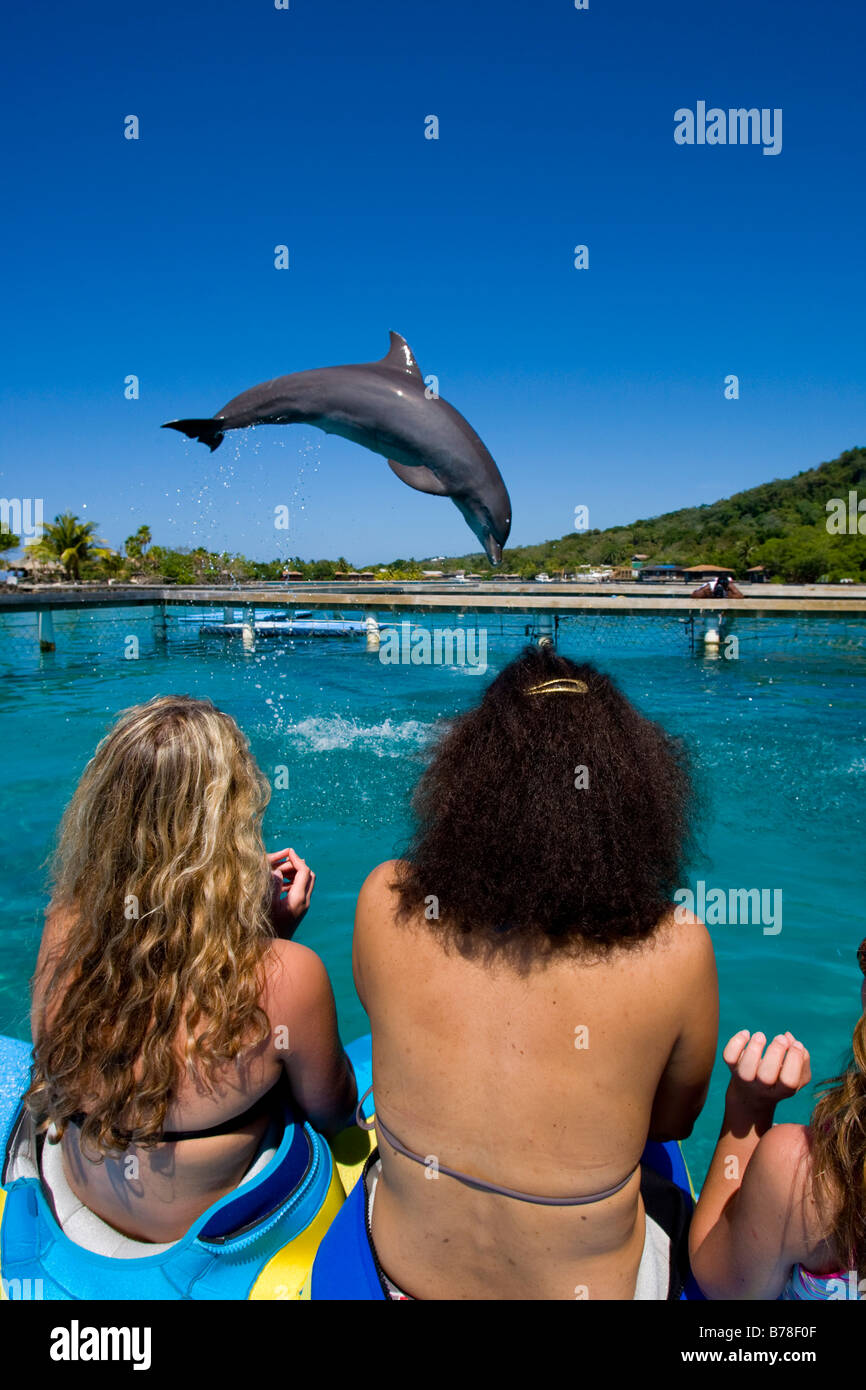La scuola dei bambini osservando un delfino durante una lezione di biologia da un delfino trainer, Anthony's Key Resort, Roatan, Honduras, Centr Foto Stock
