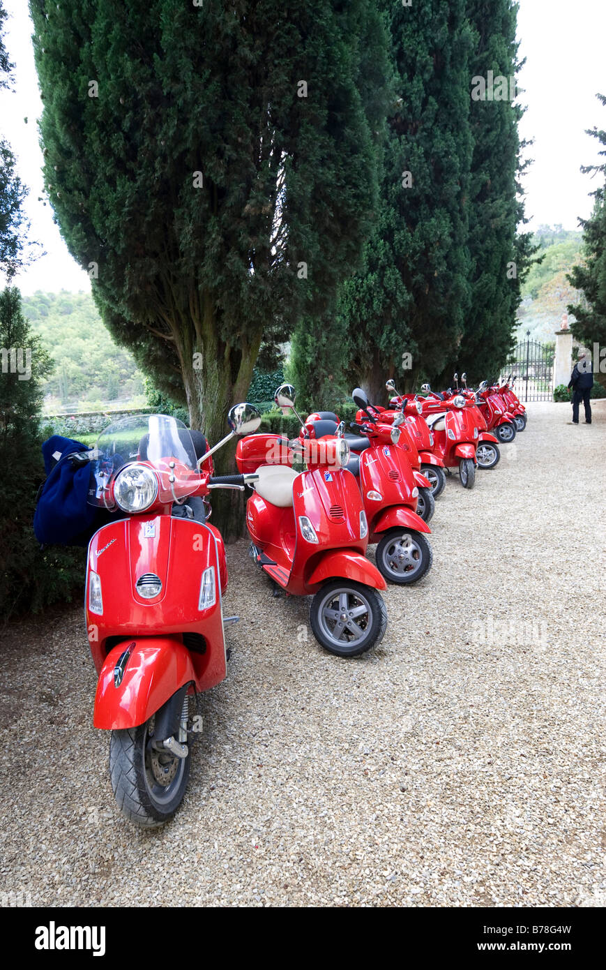 Red scooter su un cipresso viale alberato presso la vigna Verrazzano, Chianti, Provincia di Firenze, Firenze, Toscana, Italia, e Foto Stock