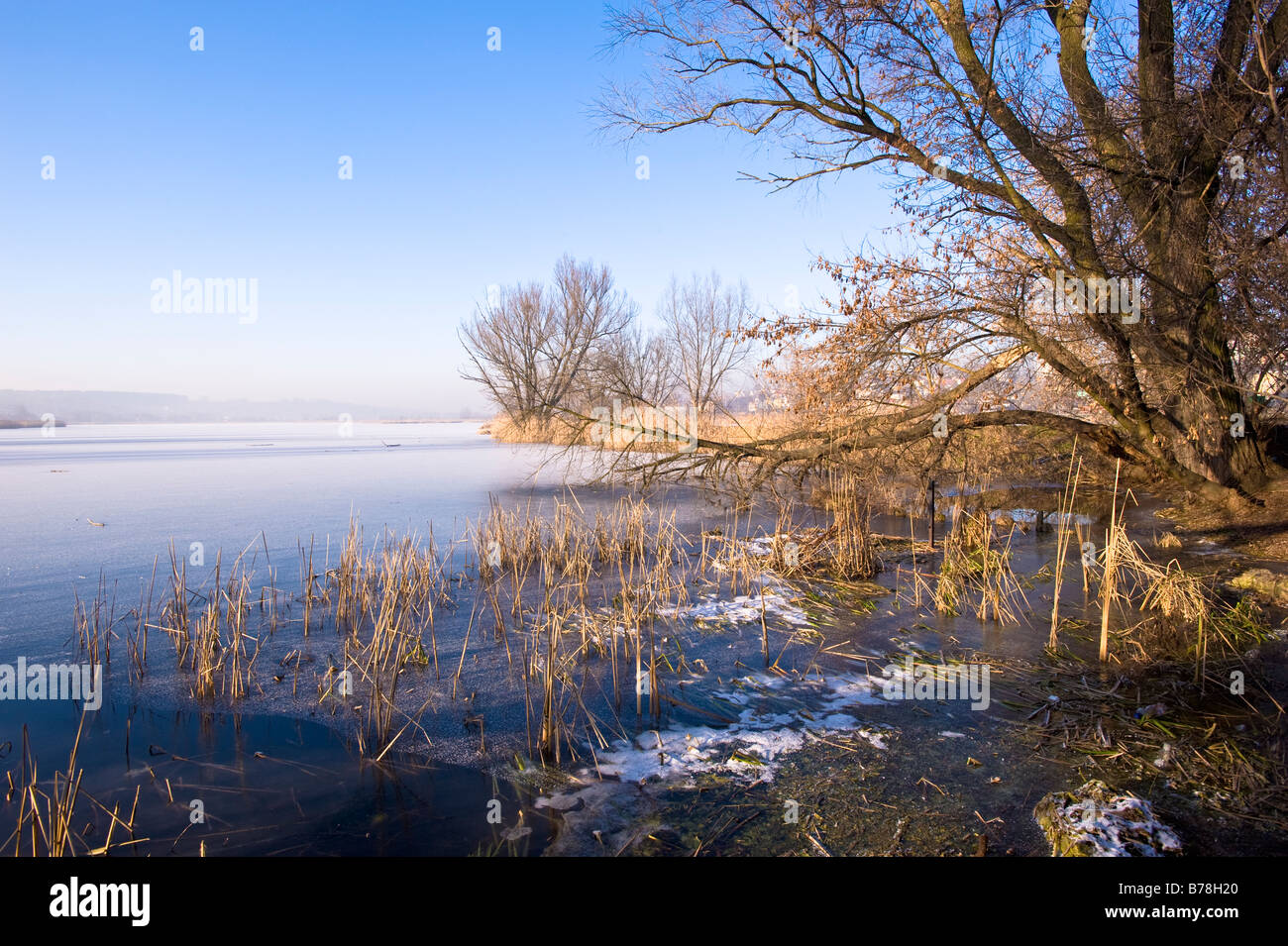 Kamienna River Starachowice Polonia Foto Stock