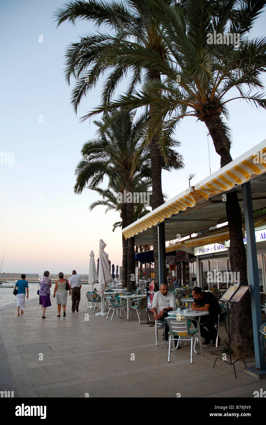 Bar caffetteria ristorante sul lungomare nella luce della sera, una terrazza con palme e una vista sul mare a Can Pastilla, a Maiorca, B Foto Stock