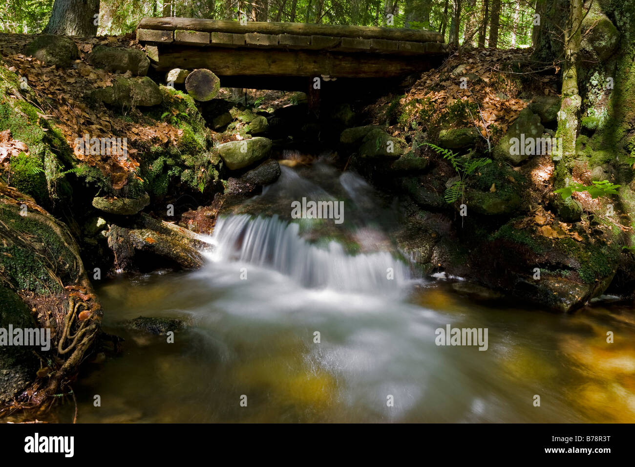 Germania Foresta Bavarese, ponte in legno sul torrente Foto Stock