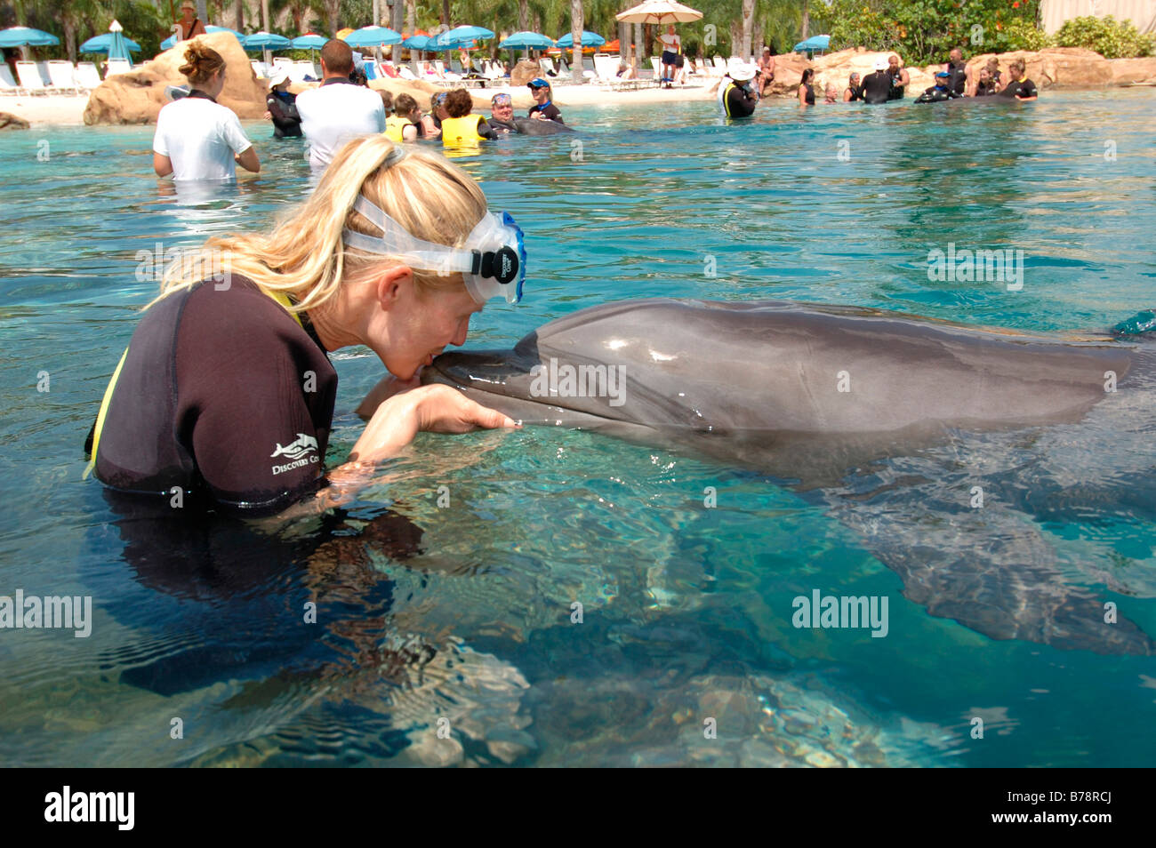Donna baciando un delfino, Discovery Cove, parco avventura, Orlando, Florida, USA, America del Nord Foto Stock
