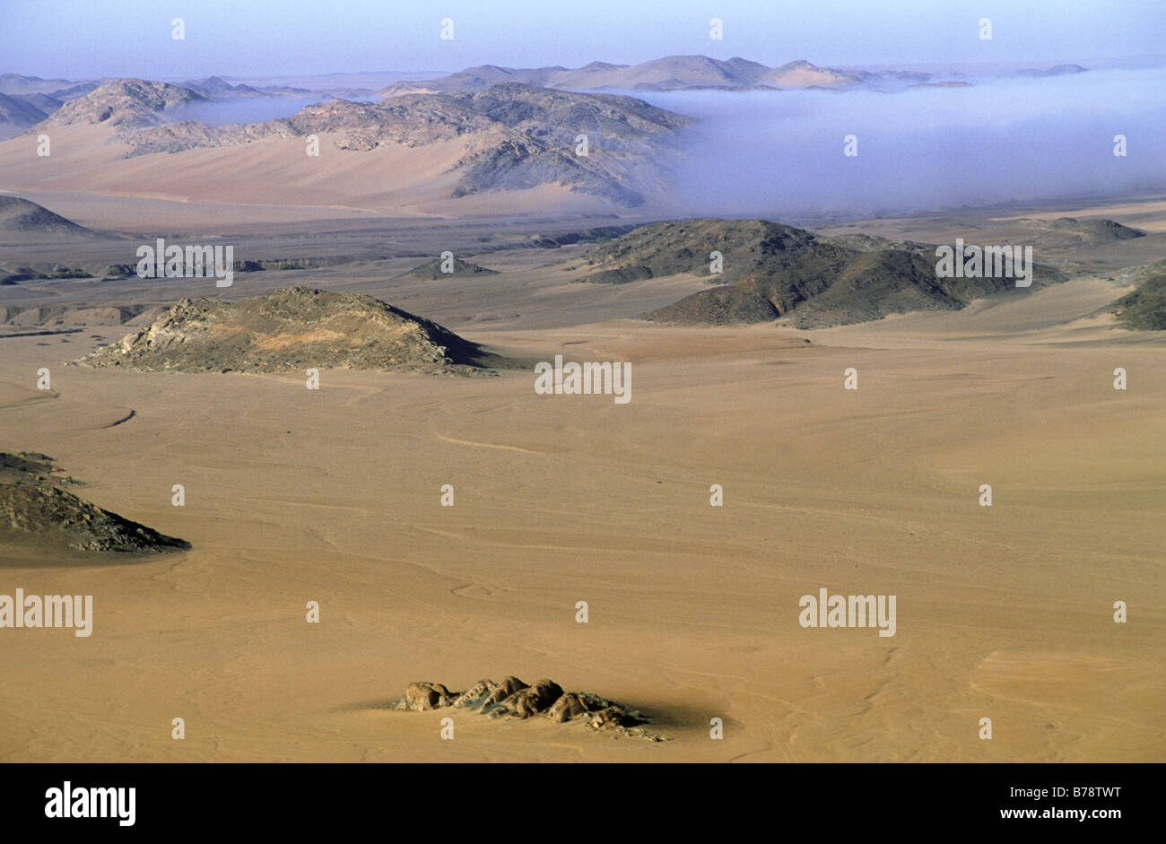 Di prima mattina nebbia costiera che penetrano nell'entroterra del deserto costiero la fornitura di umidità per le piante e gli insetti. Foto Stock