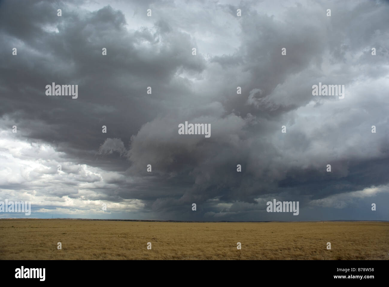 Imponente tempesta cloud la formazione sul prodotto di fattoria Foto Stock