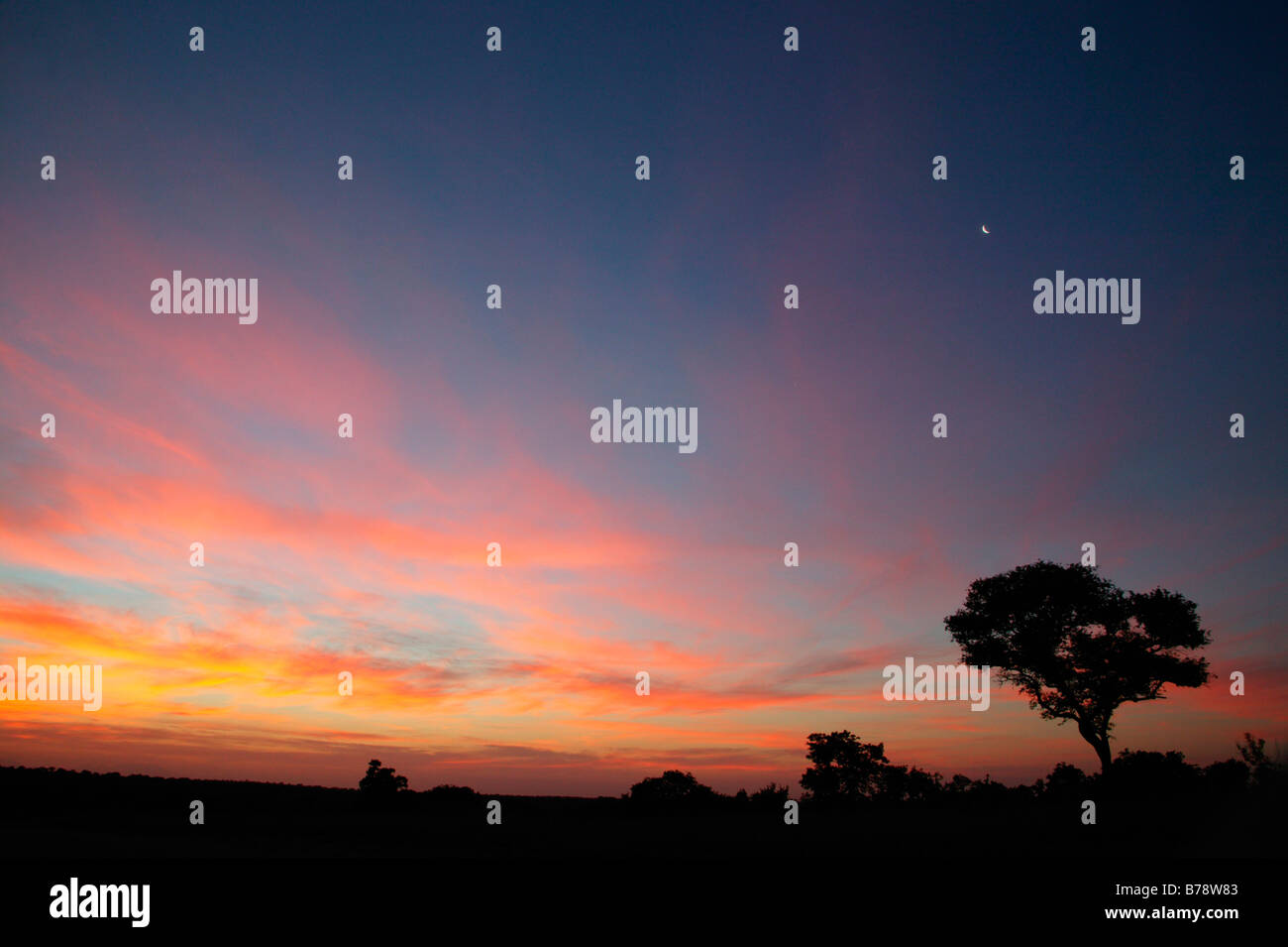 Un moody cielo sopra il bushveld al tramonto Foto Stock
