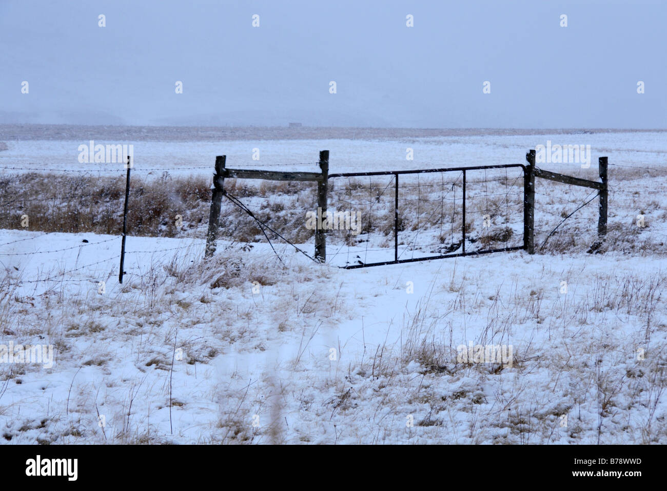 Nevicate invernali nel nord del Capo orientale Foto Stock