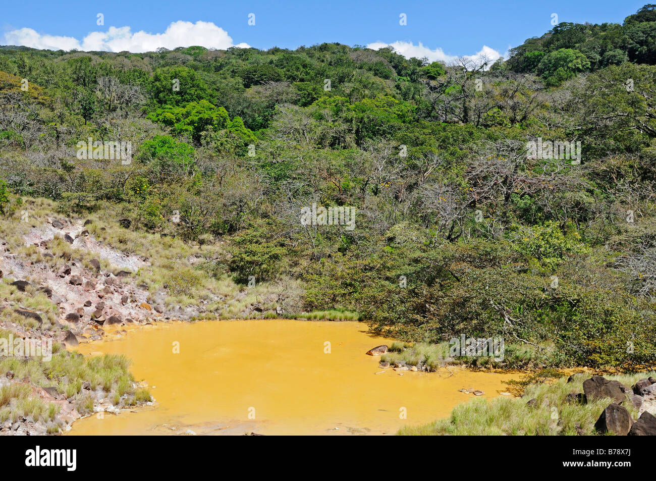 Zolfo vulcanico lago del Rincon de la Vieja National Park, Costa Rica, America Centrale Foto Stock