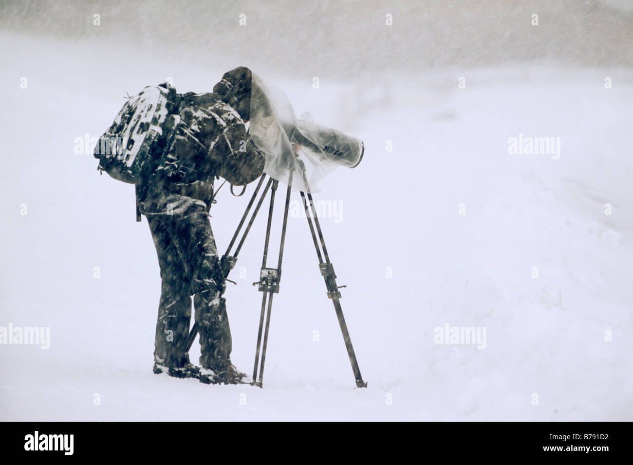 Fotografo di natura al lavoro in inverno, Tirolo del nord, Austria, Europa Foto Stock