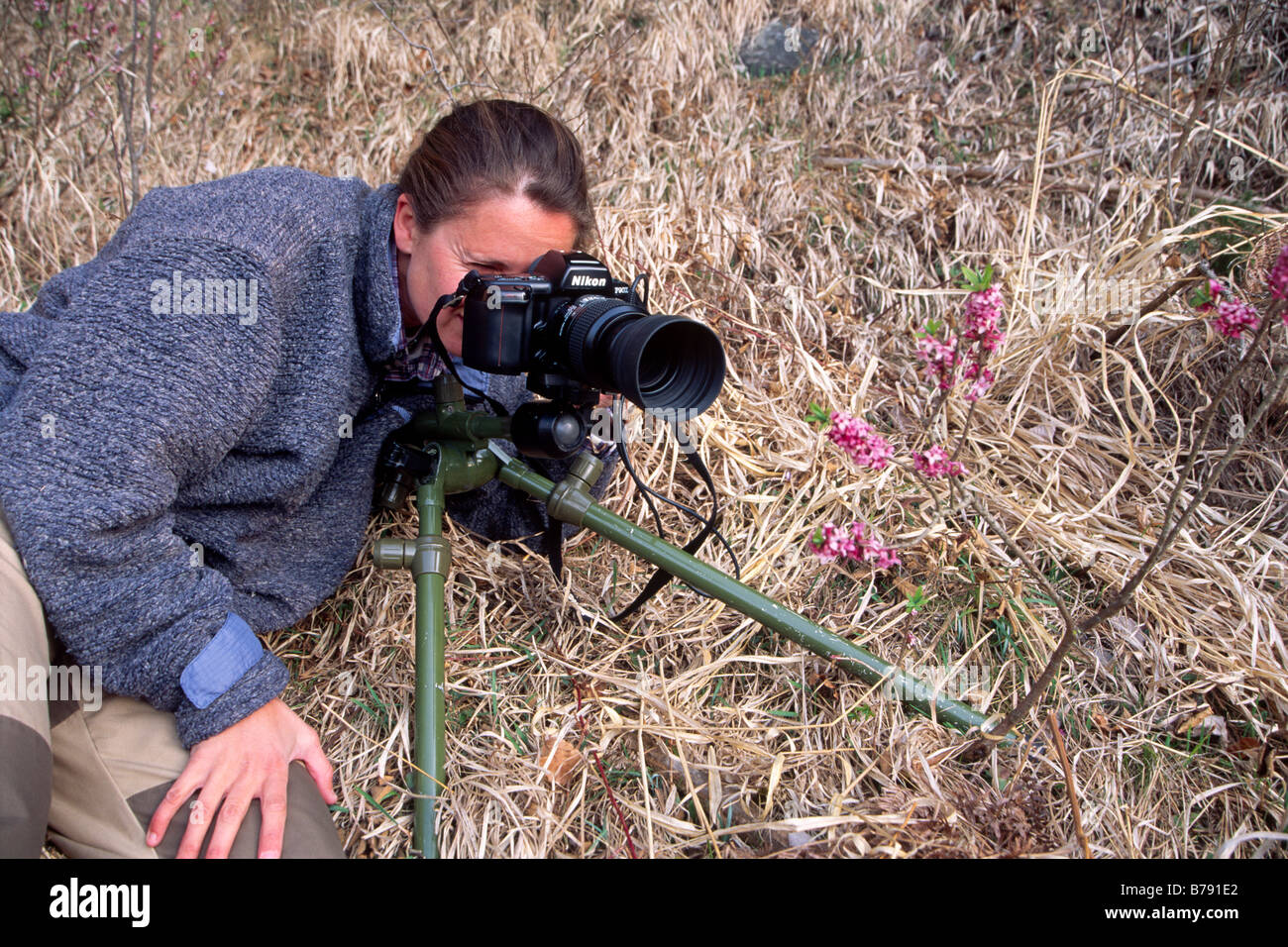 Fotografo di natura al lavoro in primavera, Tirolo del nord, Austria, Europa Foto Stock
