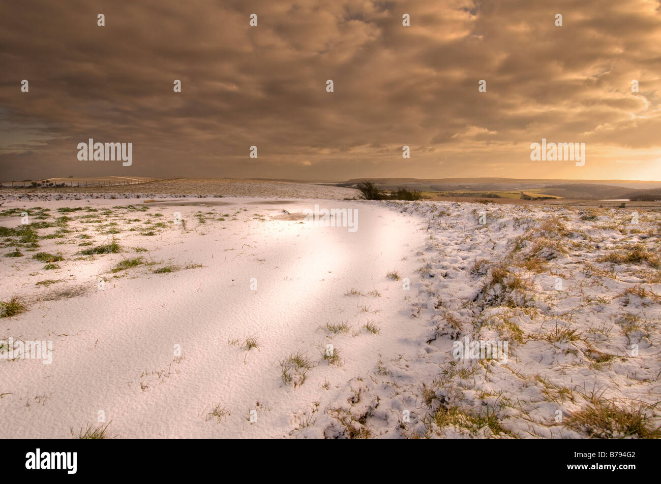 Snowy scena in un stagno di rugiada sul South Downs, East Sussex, Regno Unito Foto Stock
