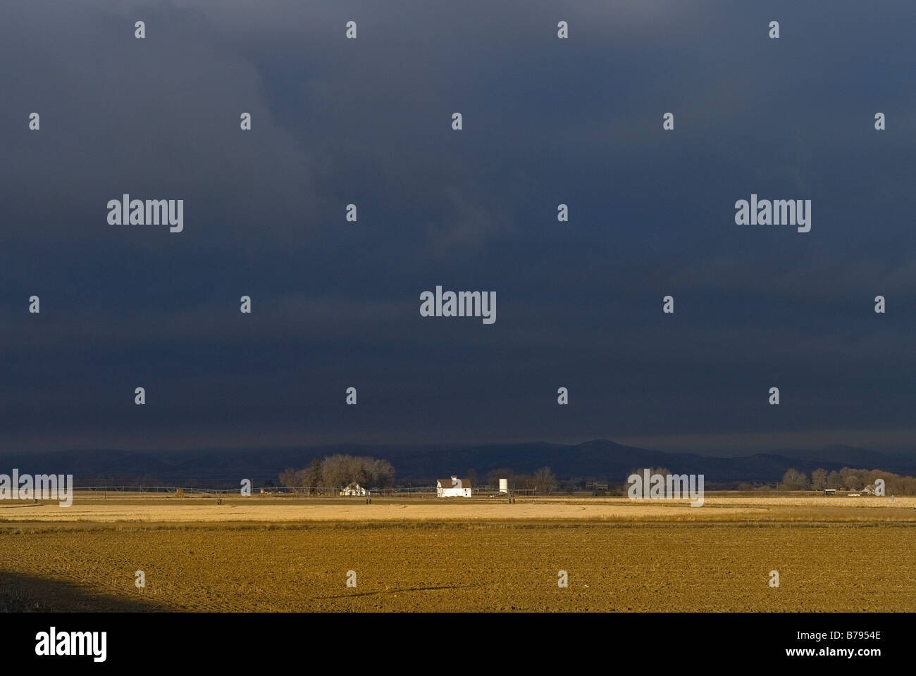 Bianco brillante agriturismo di elevatore della granella e sedersi nel lontano wintery maggese coltivate, con scuro cielo tempestoso in background Foto Stock