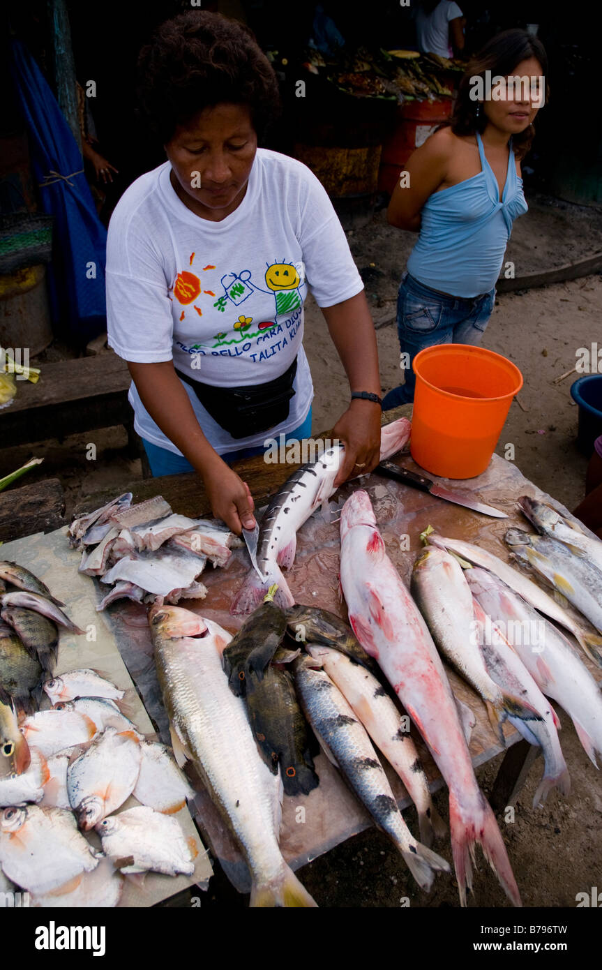 Pesce Amazonian per la vendita, Nanay Iqutios mercato amazzonia peruviana, Perù Foto Stock