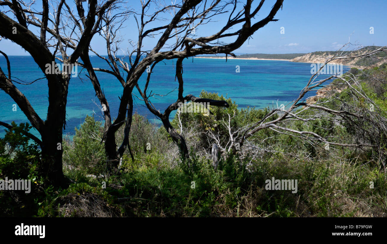 Port Phillip Bay, Parco Nazionale Point Nepean, australia Foto Stock