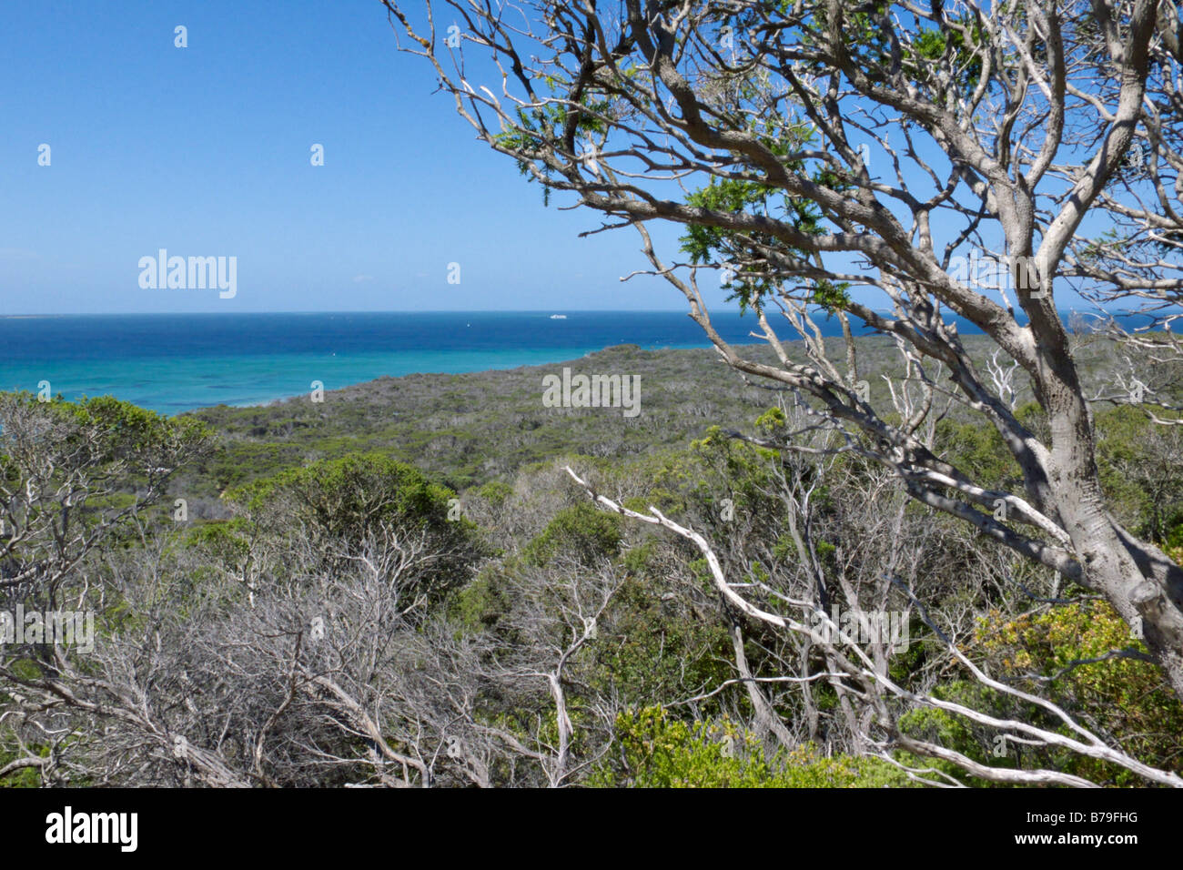 Parco Nazionale Point Nepean, australia Foto Stock