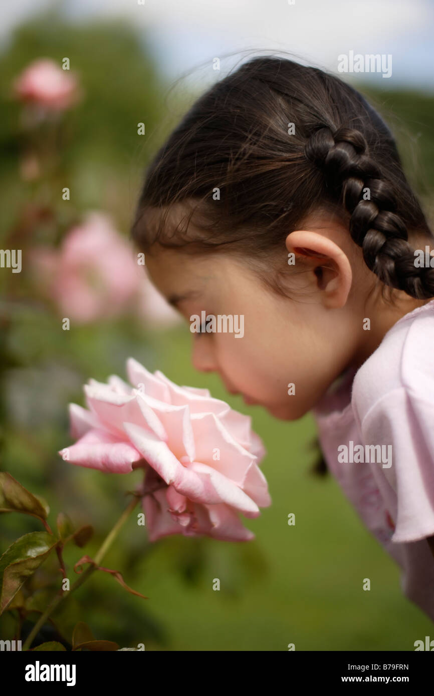 Bambina di cinque anni odori rose Foto Stock