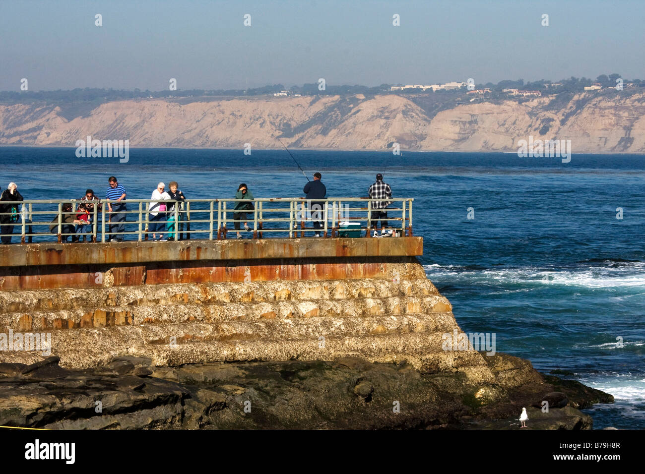 I visitatori a La Jolla, California sea wall presso la piscina per i bambini dove vi è una colonia di foche. Foto Stock