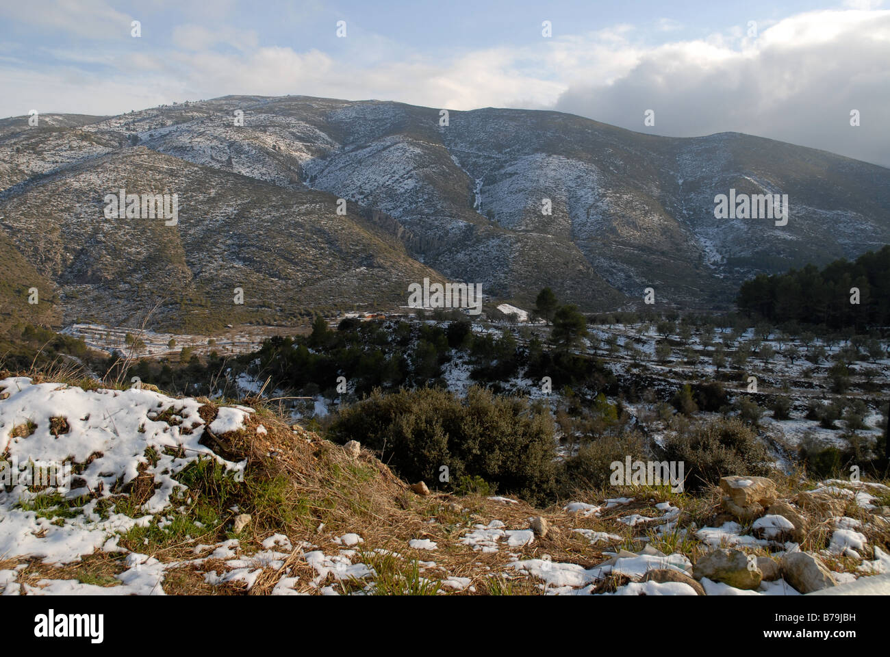 Vista della Serra de la Almudaina & neve, vicino Tollos, Marina Alta, Provincia di Alicante, Comunidad Valenciana, Spagna Foto Stock