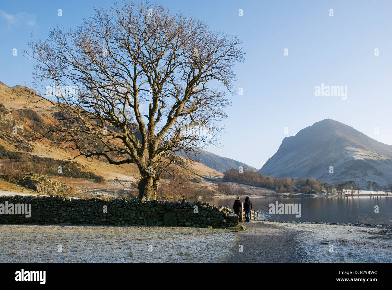 Conversazioni del Frassino, Hassness, Buttermere Foto Stock