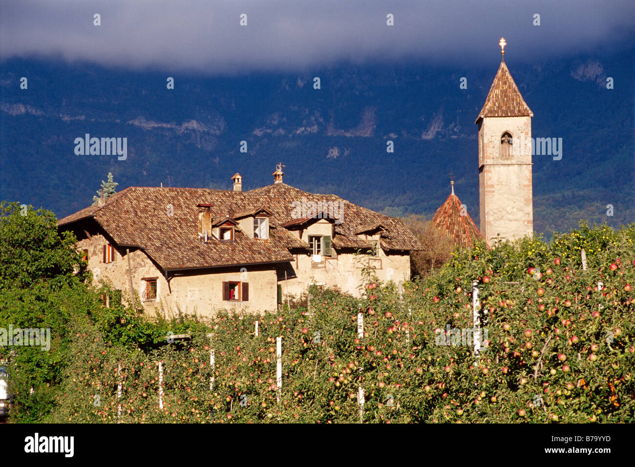 Meleto di fronte al villaggio di Montiggl, Provincia di Bolzano, Italia, Europa Foto Stock