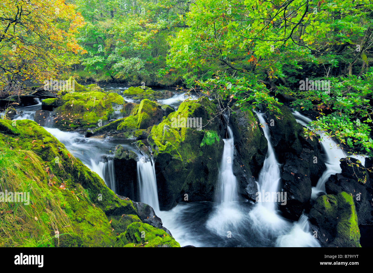 Forza Colwith cascata sul fiume Brathay nel Parco nazionale del Lake District vicino Colwith, Cumbria, Inghilterra. Foto Stock