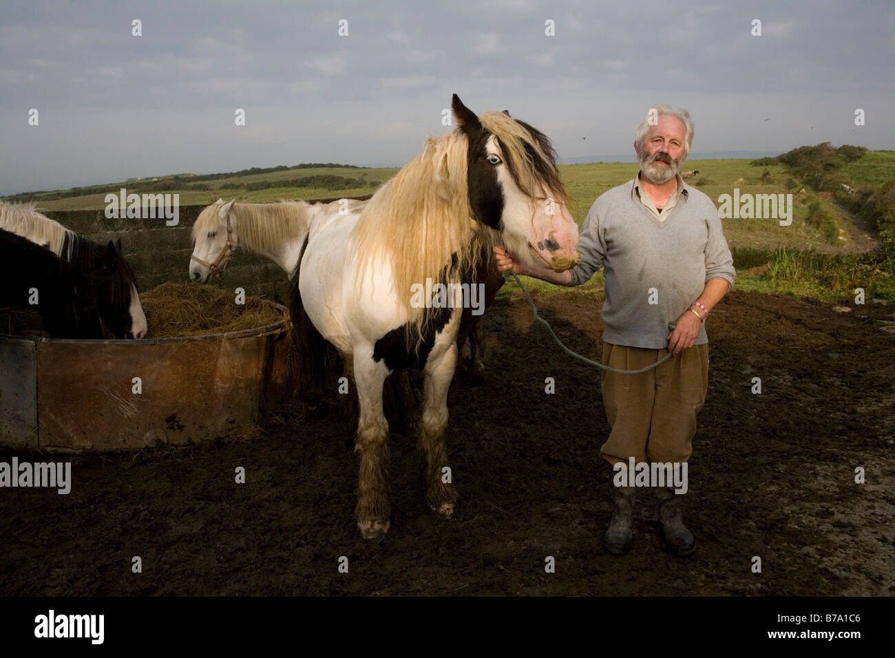 Matchmaking agricoltori