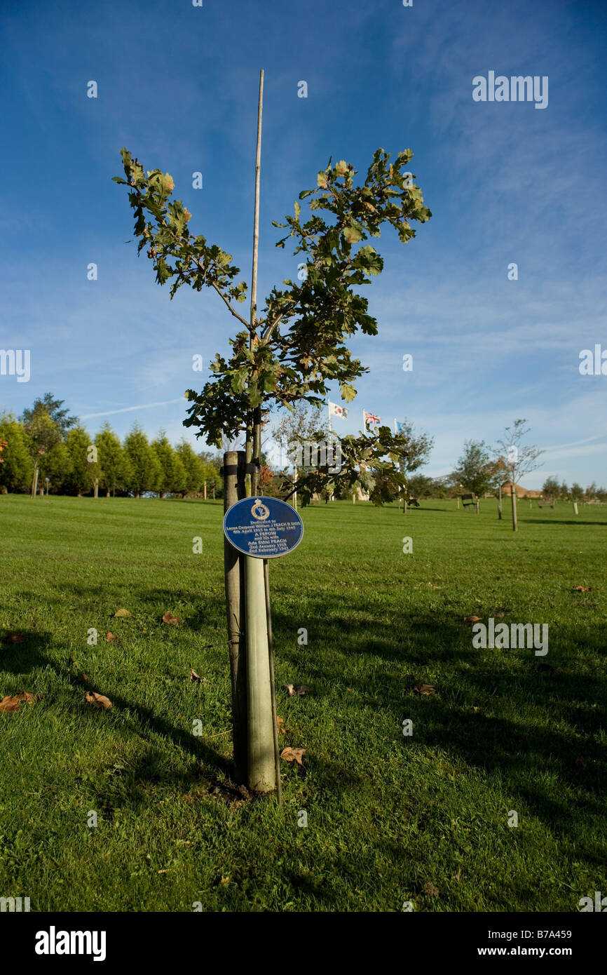 Memorial a William Peach Estremo Oriente prigioniero di guerra presso il National Memorial Arboreteum a Alrewas in Staffordshire, Inghilterra Foto Stock