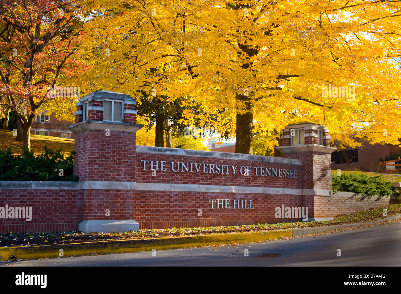 La University of Tennessee Tennessee Foto Stock
